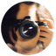 Fotografía